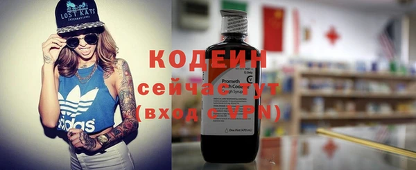 дживик Инта